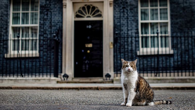 Pour Larry, le chat de Downing Street, une nouvelle cohabitation s'annonce. Exit Rishi Sunak, place à Keir Starmer