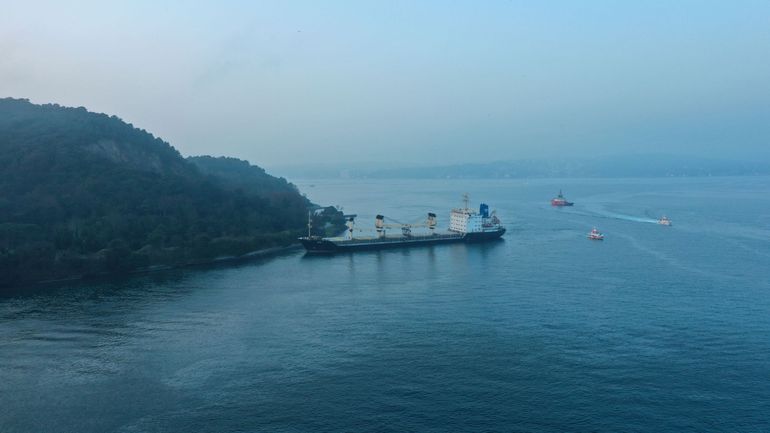 Un cargo en provenance d'Ukraine s'échoue dans le détroit du Bosphore