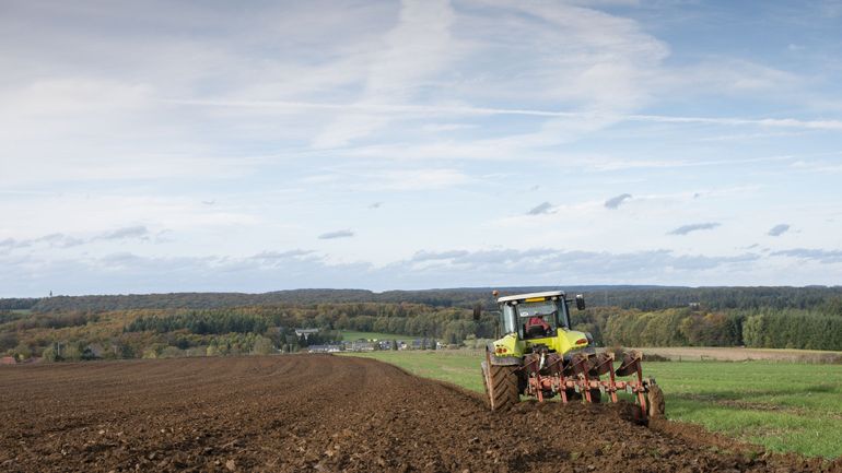 Le nombre d'exploitations agricoles stable en Wallonie depuis une décennie
