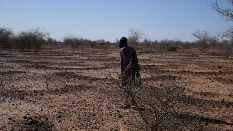 Le Niger se voit contraint de provoquer la pluie pour éloigner le spectre de la sécheresse