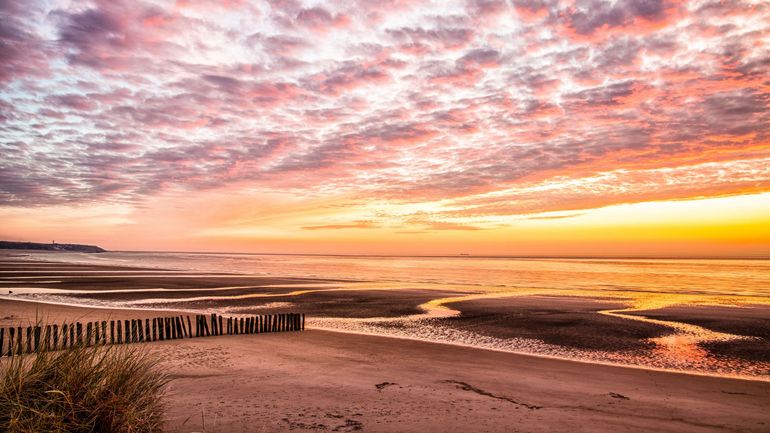 Belgique : un printemps historiquement sec et plus chaud que la moyenne
