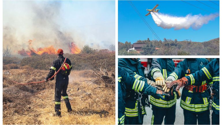 Feux de forêts en Europe : quand les pays européens sont de mèche pour lutter contre les flammes