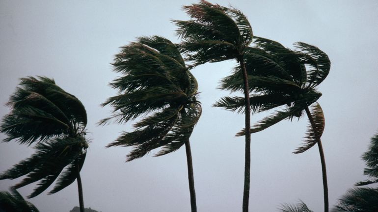 Un cyclone fait deux morts et provoque des coupures d'électricité dans l'Ouest américain