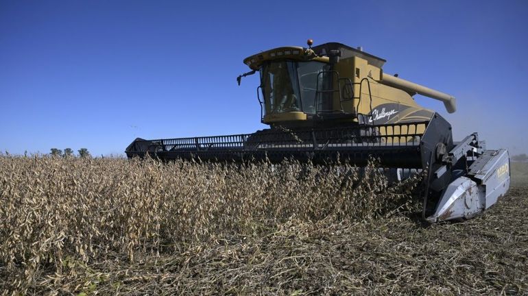 Première productrice mondiale de soja, l'Argentine va-t-elle tirer bénéfice de la guerre en Ukraine?