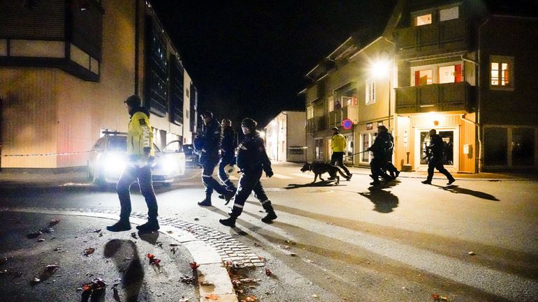 Plusieurs personnes tuées en Norvège par un homme armé d'un arc à flèches : la police n'exclut pas un 