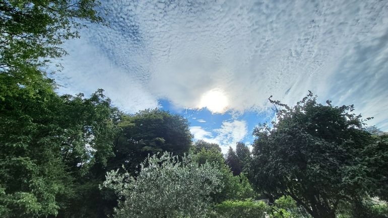 Météo en Belgique : un week-end sous un soleil généreux