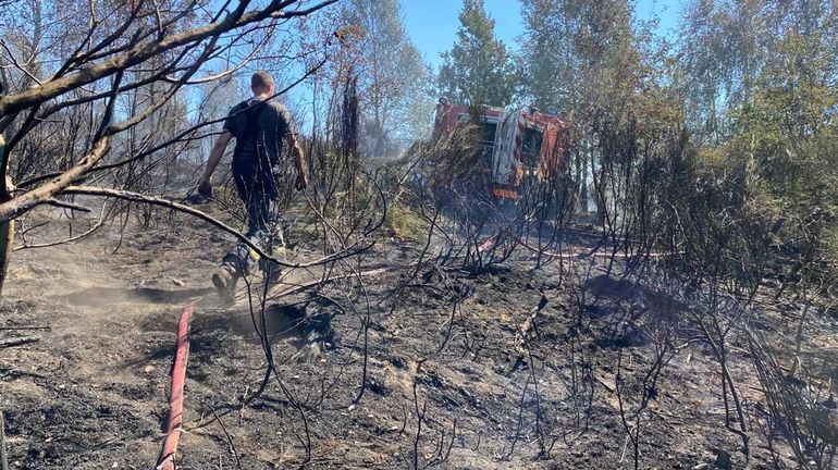 Risque d'incendie majeur en forêt ? La Wallonie encore à l'abri !