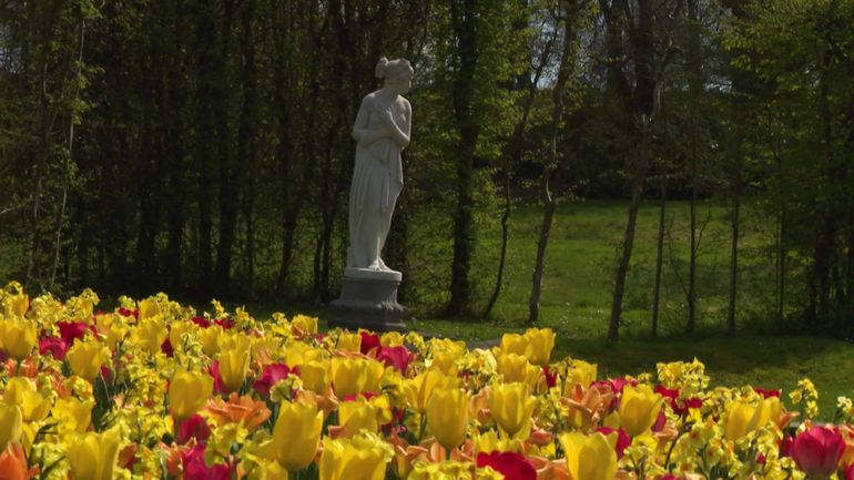 Sécheresse : comment les Jardins d'Annevoie s'adaptent-ils au manque de pluie ?