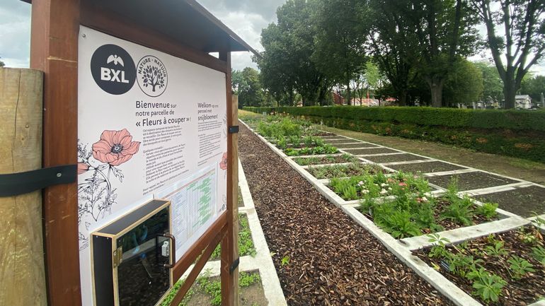 Bruxelles : des fleurs en libre-service dans deux cimetières