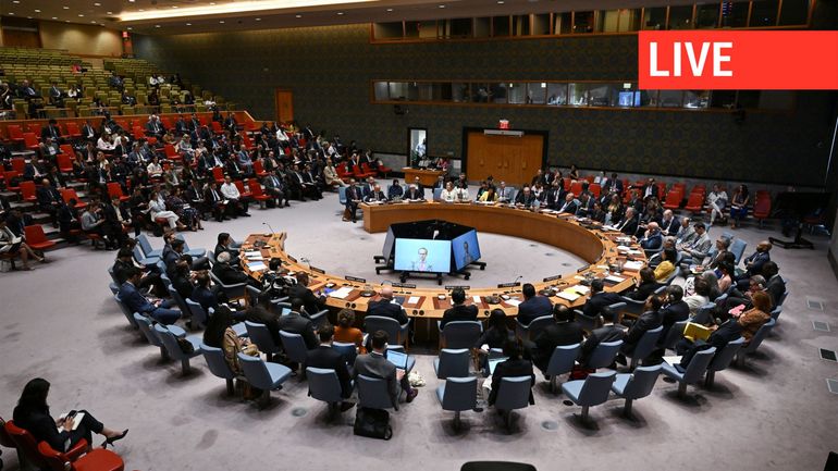 Direct : réunion d'urgence du Conseil de sécurité de l'ONU après les attaques étasuniennes de cette nuit