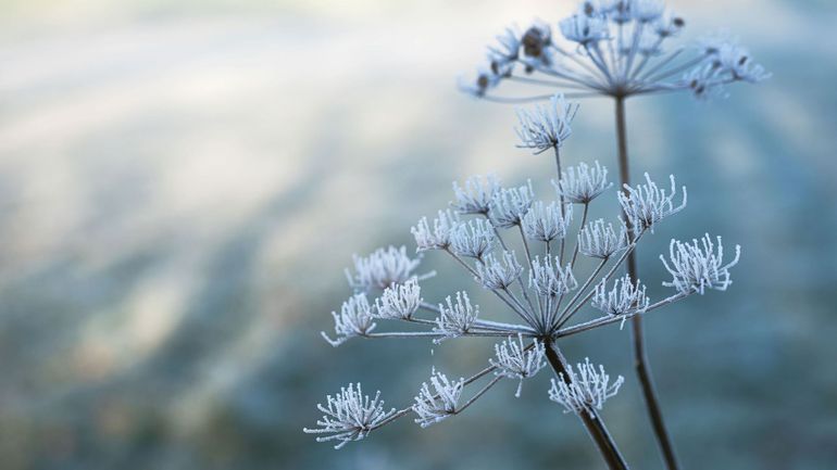 Un dimanche froid avant une semaine glaciale