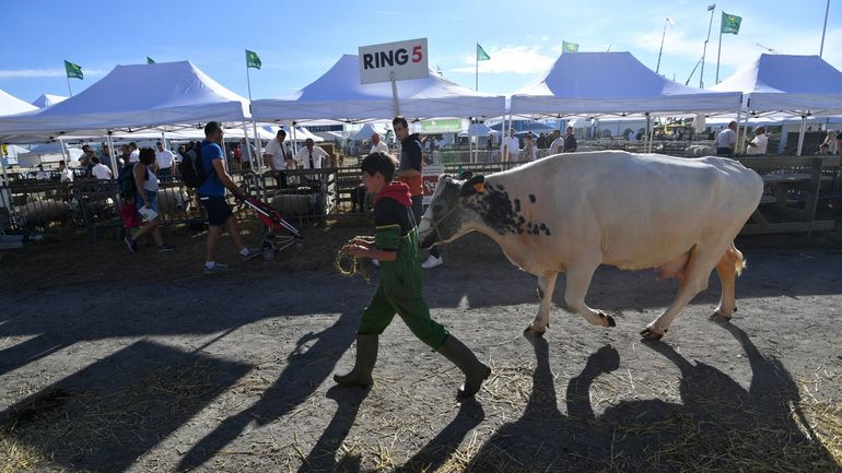Foire de Libramont : politiquement, quelle agriculture wallonne ?
