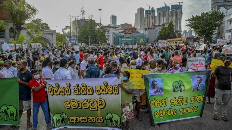 Pesticides : le Sri Lanka renonce à son projet d'agriculture biologique pour éviter une crise économique