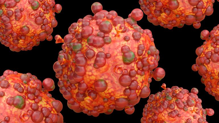 Les malades du sida menacés par une forme grave de variole du singe