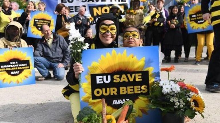 Insecticides tueurs d'abeilles : l'Europe abaisse les niveaux résiduels autorisés dans l'alimentation