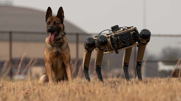 États-Unis : des chiens robots déployés aux frontières