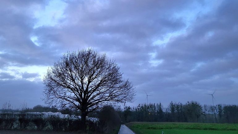 Météo en Belgique : assez gris ce lundi