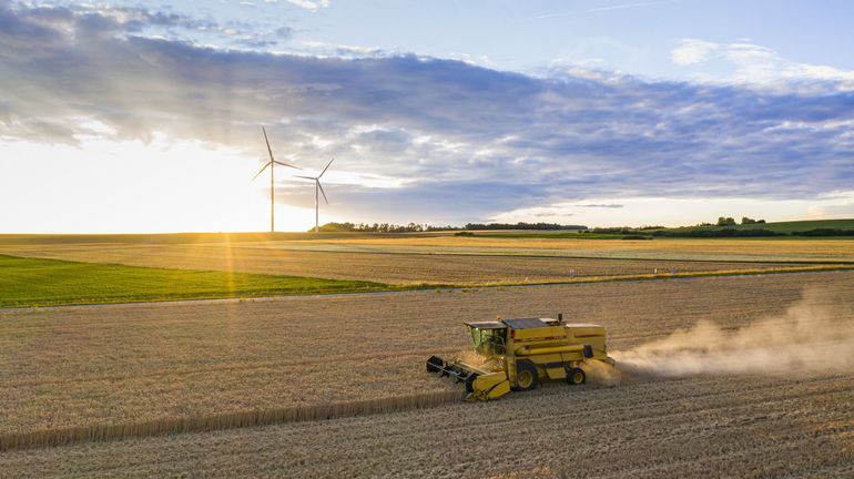 Agriculture en Wallonie : le centre de recherches agronomiques de Gembloux présente ses projets d'adaptation et de diversification