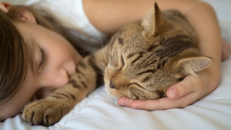 Pourquoi donc mon chat dort-il avec moi ? - RTBF Actus