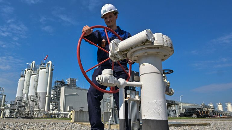 Energie: l'unique usine de gaz naturel liquéfié de Norvège a redémarré et doit exporter vers l'Europe