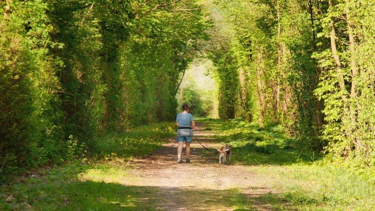 La province de Namur compte 5 nouvelles réserves naturelles