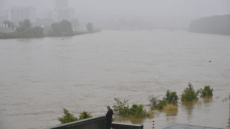 Intempéries en Flandre : toutes les communes le long de la Meuse dans le Limbourg doivent évacuer