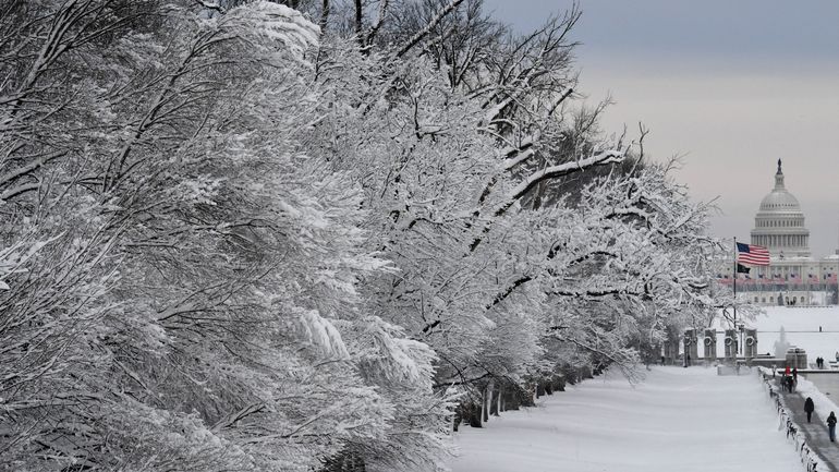 Washington DC enfouie sous la neige : les meilleures images, des batailles de boules aux monuments ensevelis