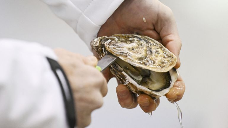 Savons, compléments alimentaires ou bioplastiques : les coquilles d'huîtres peuvent être recyclées et revalorisées