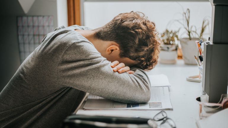 Harcèlement et violence : la majorité du personnel et de la population étudiante de l'enseignement supérieur en a déjà subi