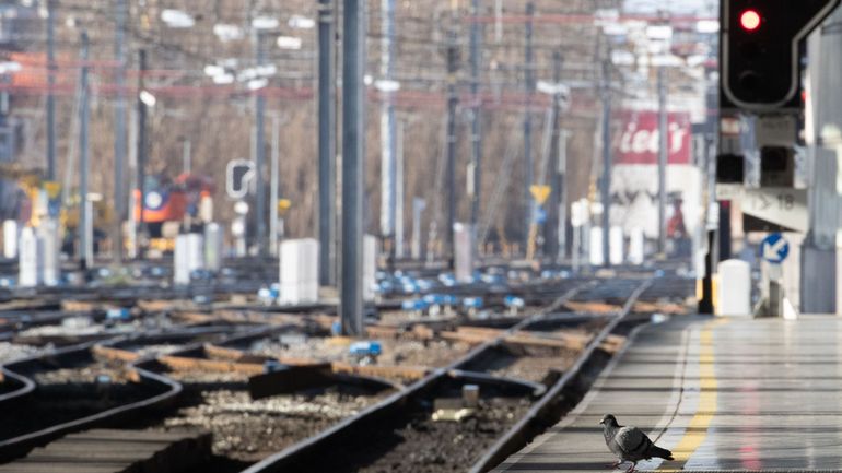 Le trafic ferroviaire à Bruxelles perturbé à cause de personnes sur les voies