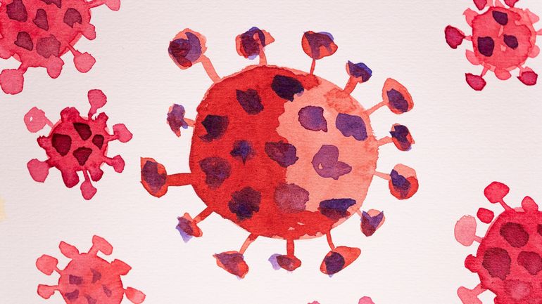 Coronavirus : dix pays de l'UE, dont la Belgique, dans une situation 