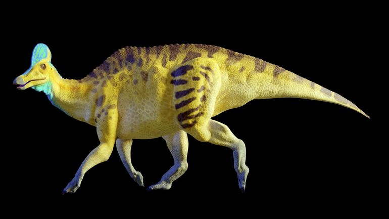 Les dinosaures étaient capable de 