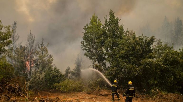 Grèce: les incendies sont maîtrisés, selon les pompiers