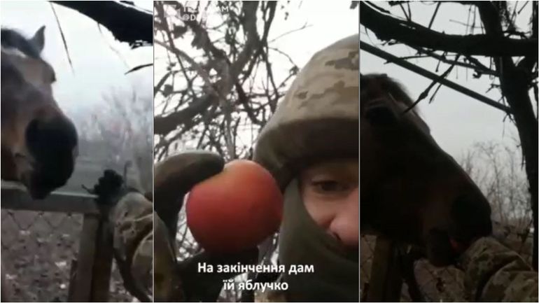 Guerre en Ukraine : l'histoire du cheval abandonné et du soldat dans l'enfer de Bakhmut (vidéo)