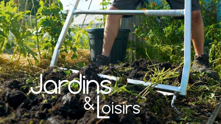 Préparer le potager pour l’hiver, c’est optimiser les futures cultures