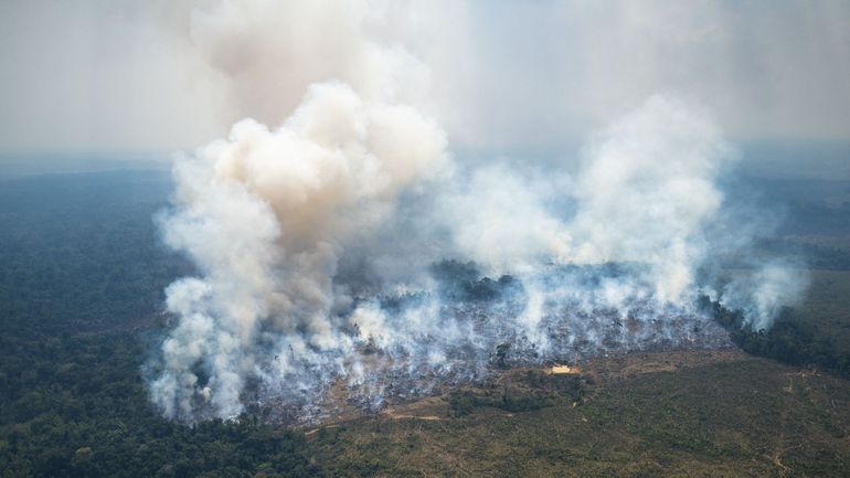 Colombie : des feux en Amazonie mettent la capitale sous 