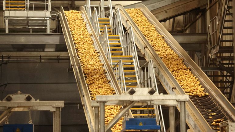 Clarebout Potatoes, producteur de frites basé en Flandre-Occidentale, passe sous bannière américaine