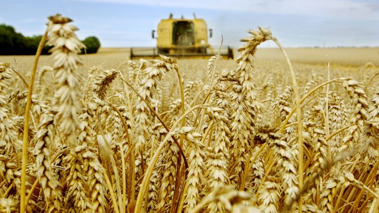 L'accord Ukraine-Russie sur les céréales : « On évite un phénomène de panique », selon Olivier De Schutter