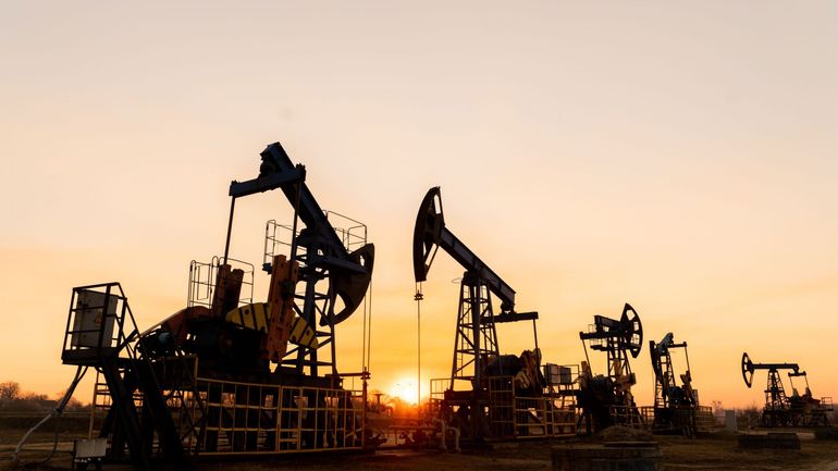 Crise énergétique : la Russie s'attend à des exportations de pétrole en hausse cette année
