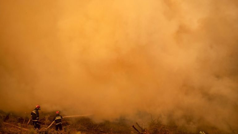 Le WWF lance un appel aux dons pour aider la lutte contre les feux en Grèce et en Turquie