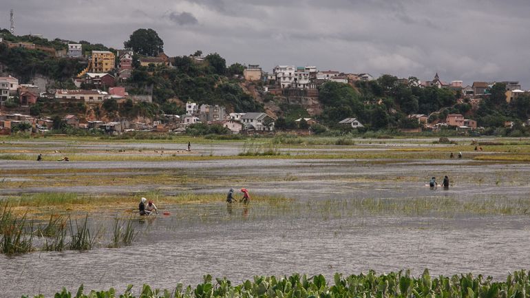 Le cyclone Batsirai a atteint Madagascar : il perd en puissance, mais les risques d'inondations demeurent