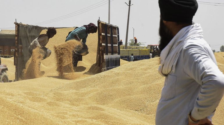 Les 7 grandes puissances économiques mondiales sont mécontentes sur l'Inde qui interdit ses exportations de blé à cause de la sécheresse