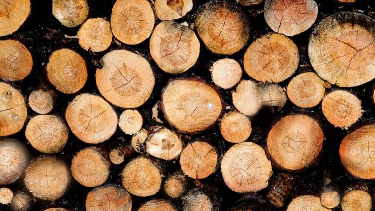 De Wavre, Tournai, Barvaux à moi... comment expliquer les différences de prix entre stères de bois ?