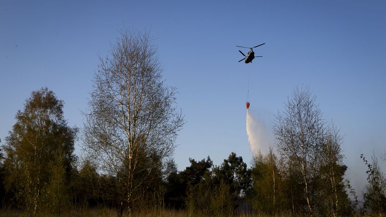 Pour la ministre flamande de l'Environnement, la Défense est responsable des dégâts de l'incendie de Brecht