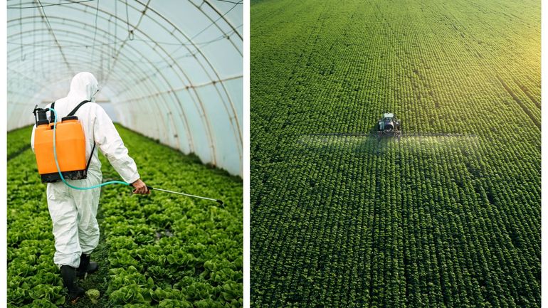 Pesticides : le Parlement européen rejette le projet de réduction des phytopharmaceutiques chimiques d'ici 2030
