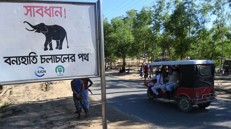 Au Bangladesh, des éléphants ravagent un parc animalier