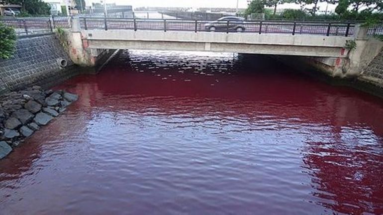 Japon: un lac rouge sang près d'une brasserie sème l'émoi