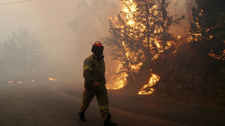 Incendies en Grèce : un corps retrouvé dans une usine calcinée