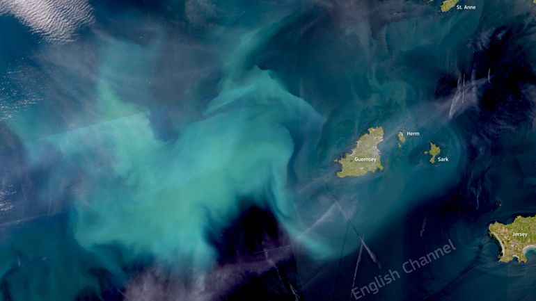 L'image satellite du jour : des efflorescences de phytoplancton observées dans la Manche