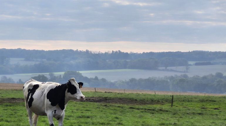 Météo en Belgique : temps calme, à une ondée près ce mardi
